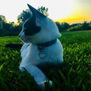 Meet your Posher, Sophia